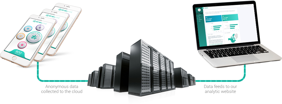 Strainprint Ecosystem